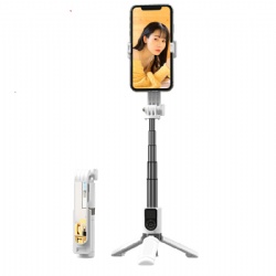 Selfie Stick P09Mini